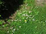 2019-06-06_DSCF1021.jpg