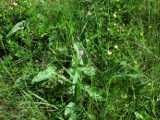 2019-06-06_DSCF1024.jpg