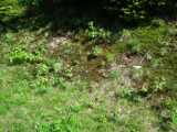 2019-06-06_DSCF1026.jpg