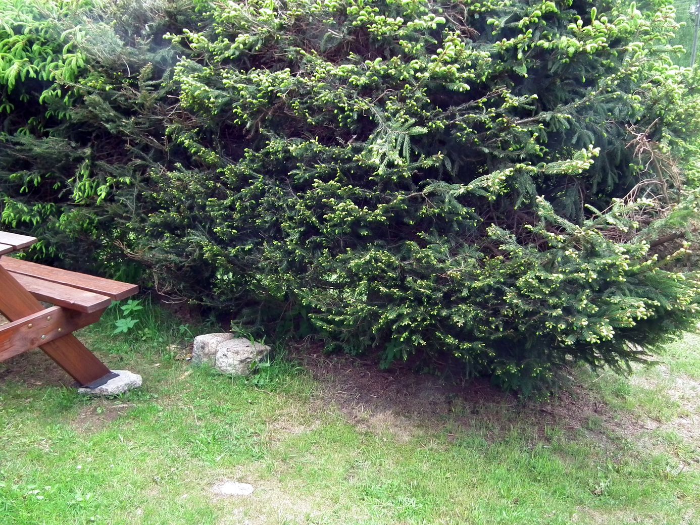 2019-06-01_DSCF1054.jpg