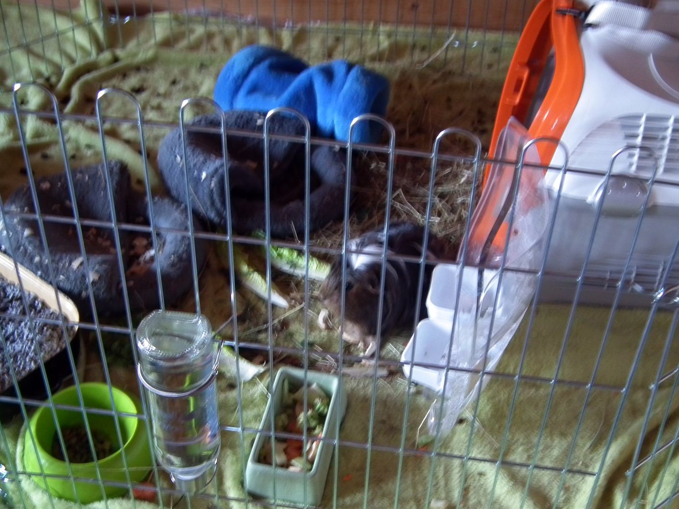 2019-06-03_DSCF1022.jpg