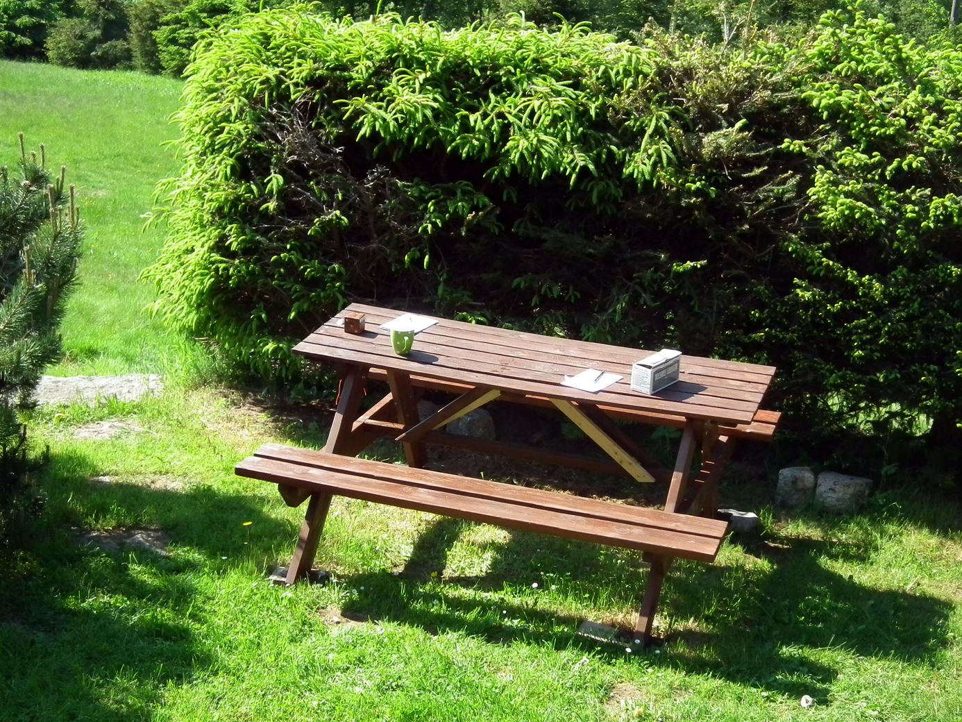 2019-06-04_DSCF1005.jpg