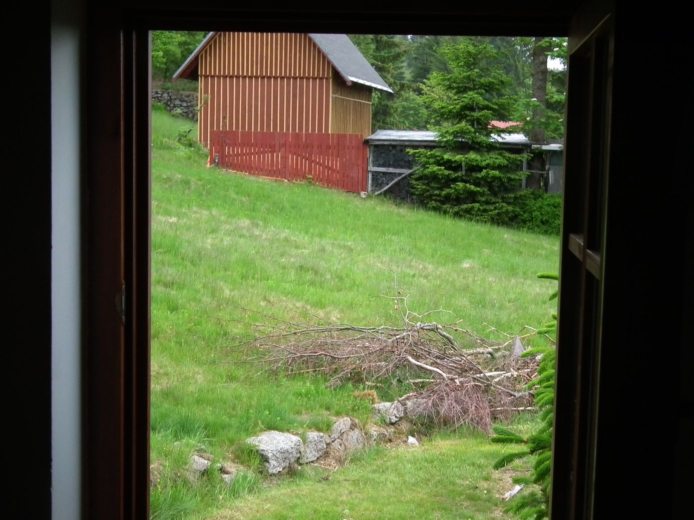 2019-06-04_DSCF1012.jpg