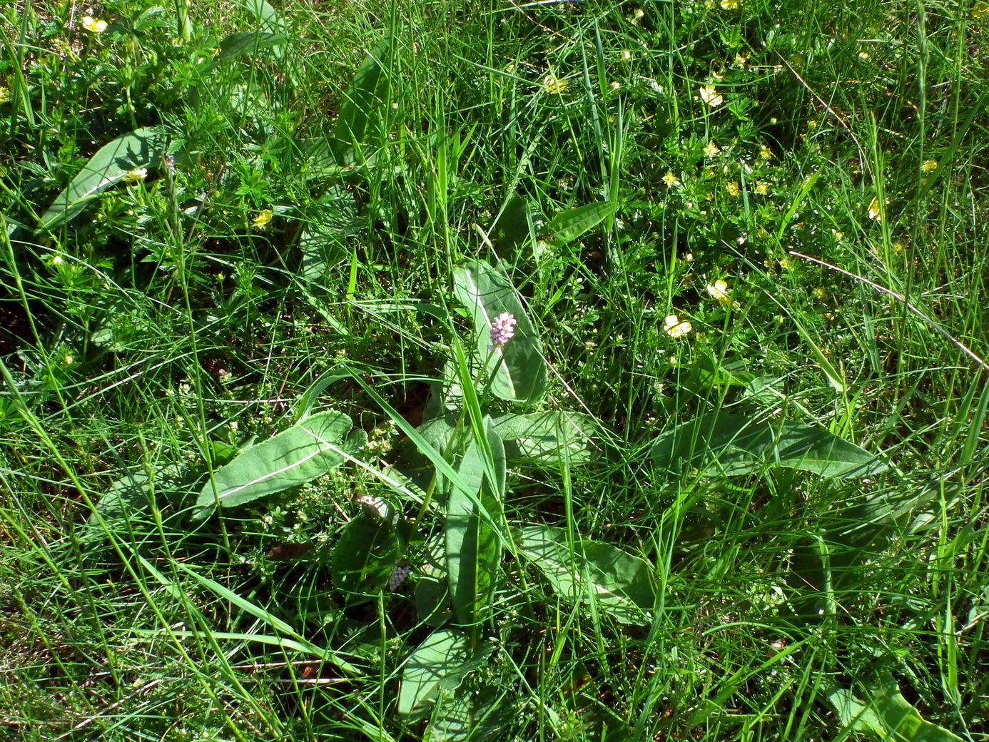 2019-06-06_DSCF1024.jpg