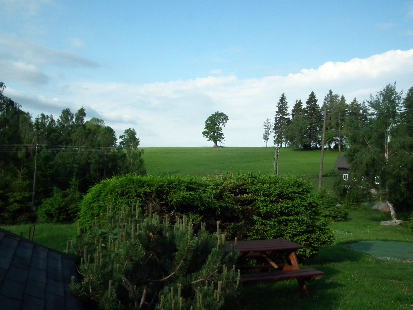 2019-06-08_DSCF1005.jpg