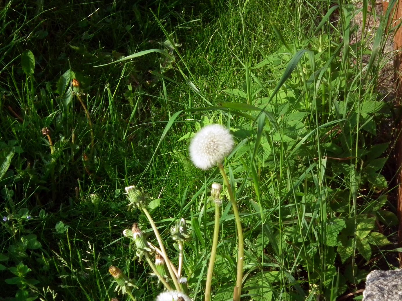 2019-06-08_DSCF1008.jpg