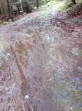 20200606_072532_6.jpg