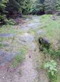 20200607_062634_5.jpg