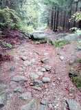 20200607_062820_1.jpg