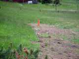 20200606_DSCF1018.jpg