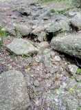 20200608_IMG_20200609_054234_5.jpg