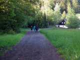 20200609_DSCF1068.jpg