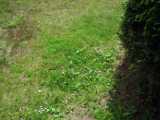 20200610_DSCF1009.jpg