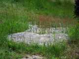 20200610_DSCF1014.jpg