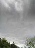 20200613_IMG_20200613_153951_3.jpg