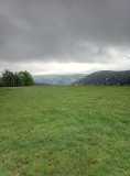 20200606_071547_6.jpg