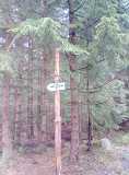 20200606_071850_5.jpg