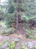 20200606_072352_8.jpg