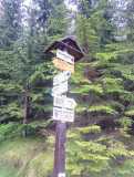 20200608_IMG_20200608_061352_6.jpg