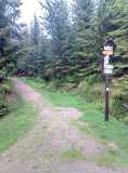 20200608_IMG_20200608_061447_4.jpg