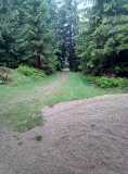20200608_IMG_20200608_061452_7.jpg