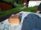 20200613_DSCF1059.jpg