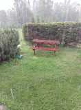 20200613_IMG_20200613_155432_0.jpg