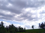 20210606 141538 thumb