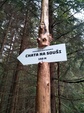 20210612 064036 thumb