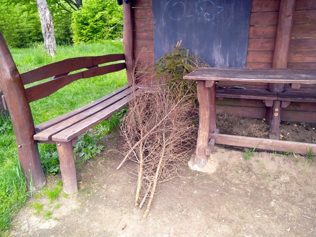 Image 20210605_131520.jpg