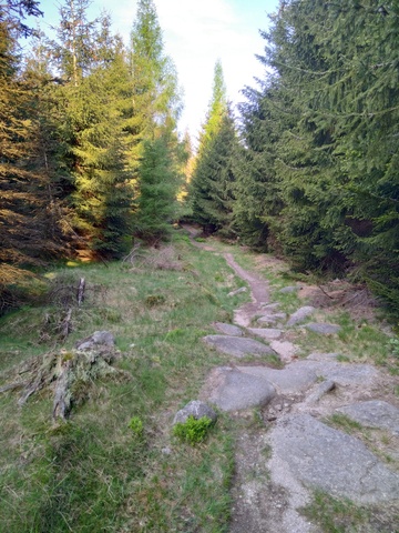 Image 20210607_063233.jpg