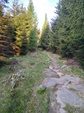 20210607 063233 thumb