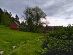 20210607 142546 thumb