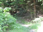 20220610 DSCN1547 thumb