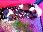 IMG 20260529 095840 139 thumb
