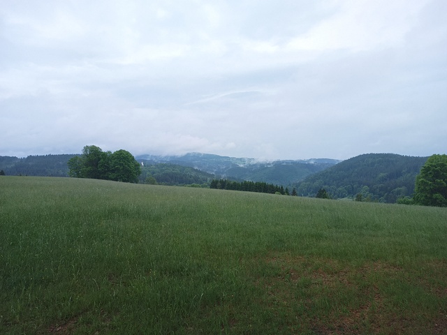 Image IMG_20260601_055954_365.jpg