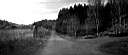 f04_cesta_k_vesnici_2.JPG